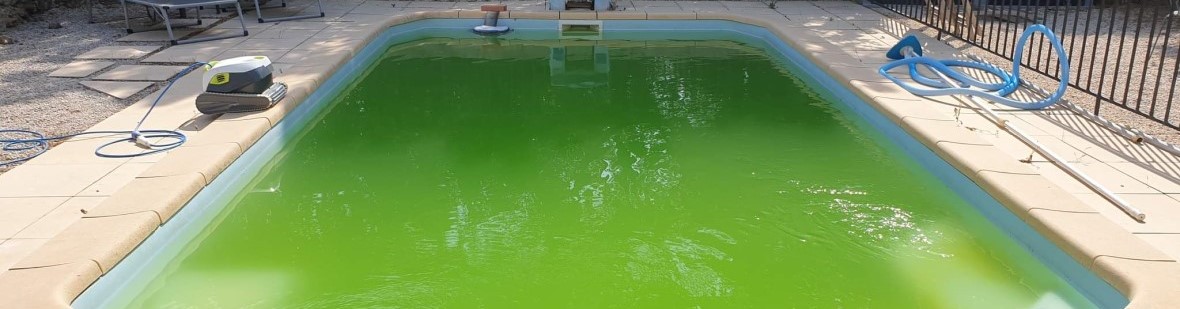 4 étapes pour récupérer une piscine verte à cause des algues
